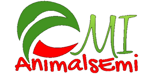 Animals emi