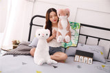2021 New 50cm Lovely Ferrets Plush toy