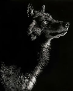 2021 New Black and White Wolf Canvas Painting